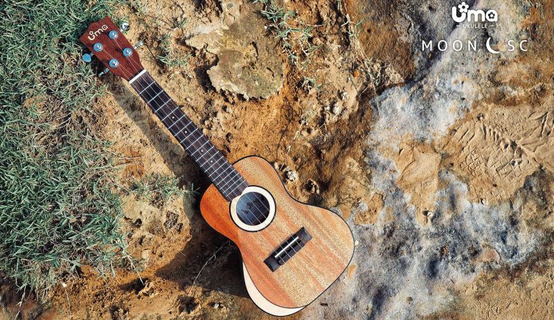 Пришли укулеле UMA!