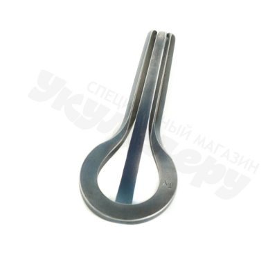 Темир-хомус Хоматова