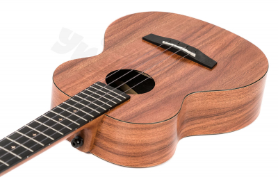 Укулеле Тенор Enya EUT-X1 c чехлом и аксессуарами